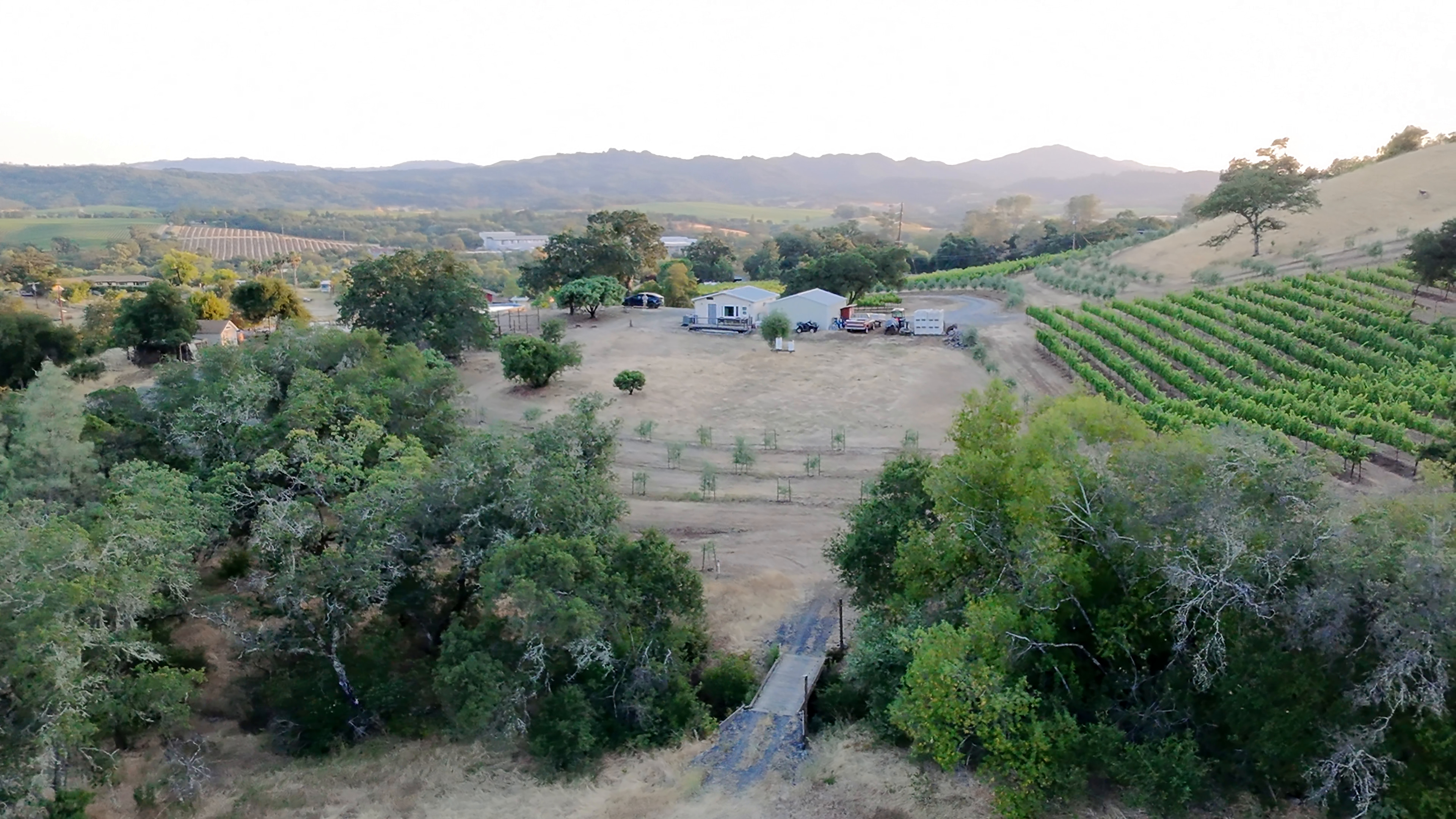 Recorded aerial view across the Summer Bridge estate